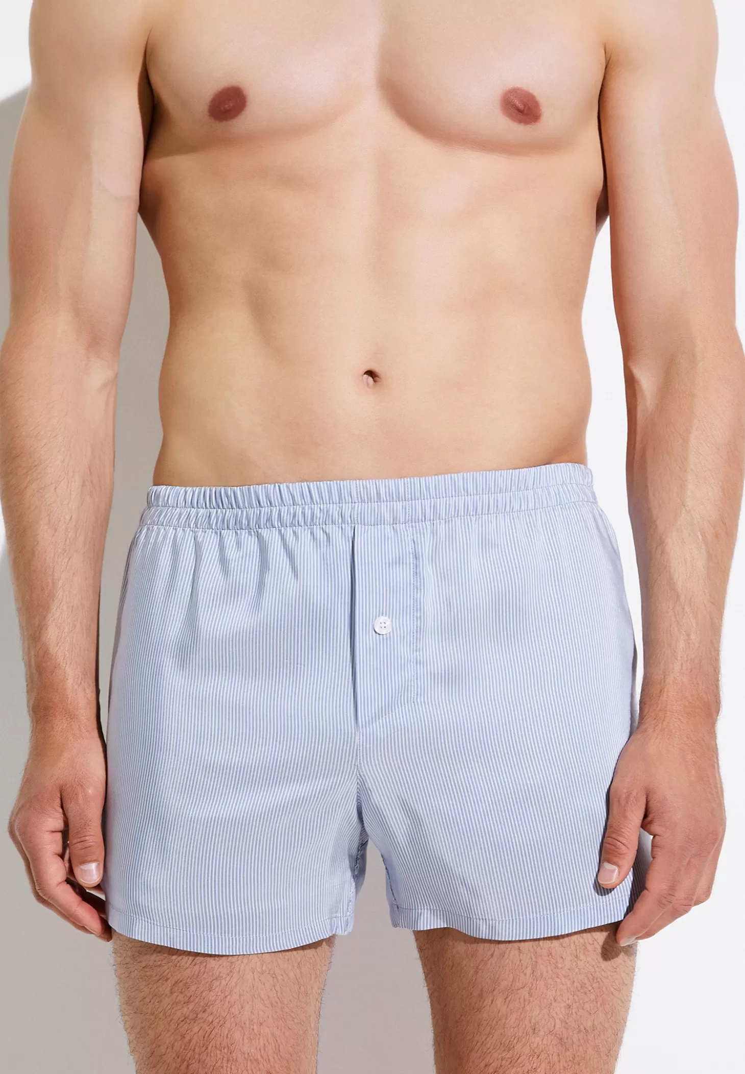 Herren Zimmerli Boxershorts>Pinstripes