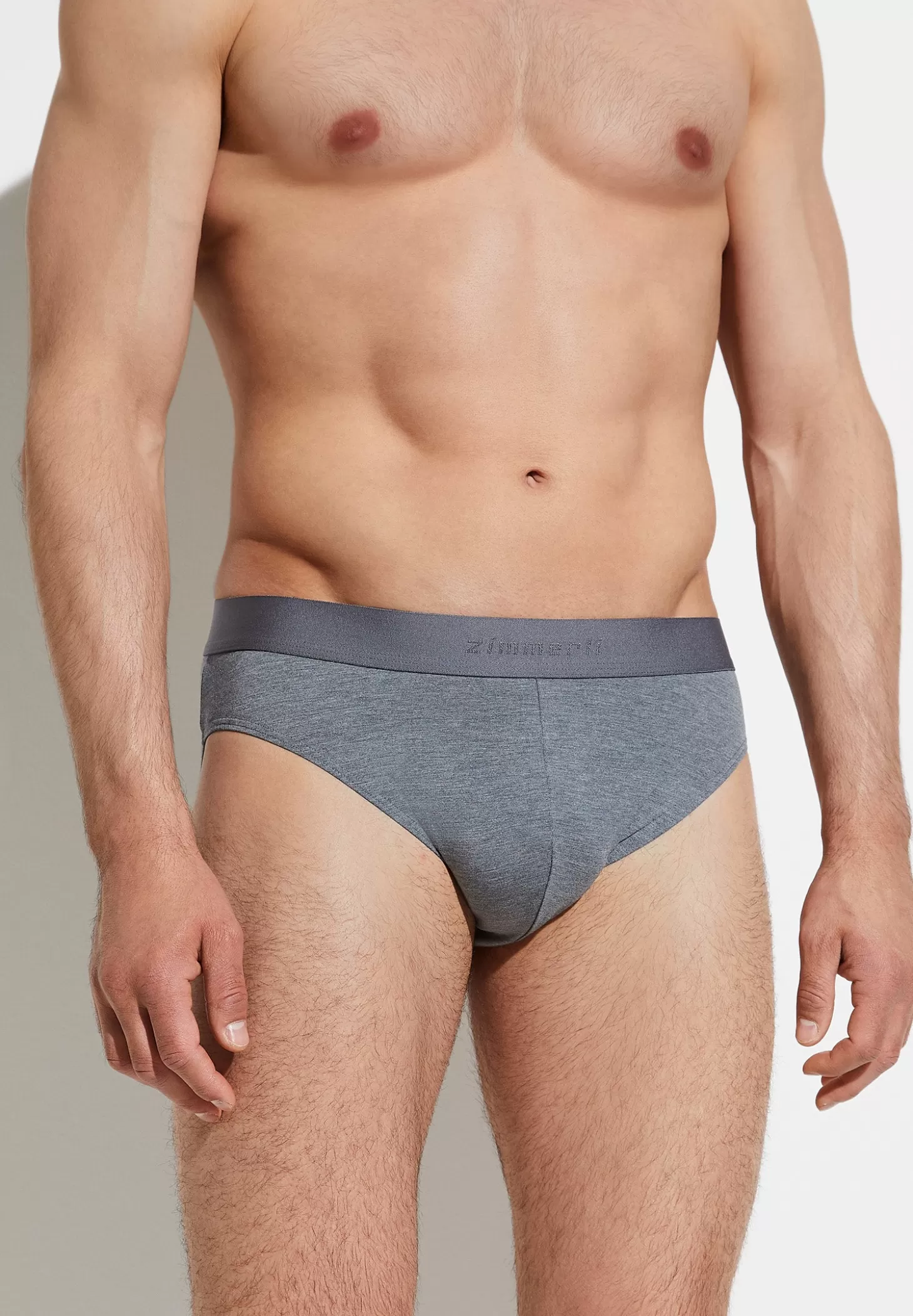 Herren Zimmerli Slips>Pureness