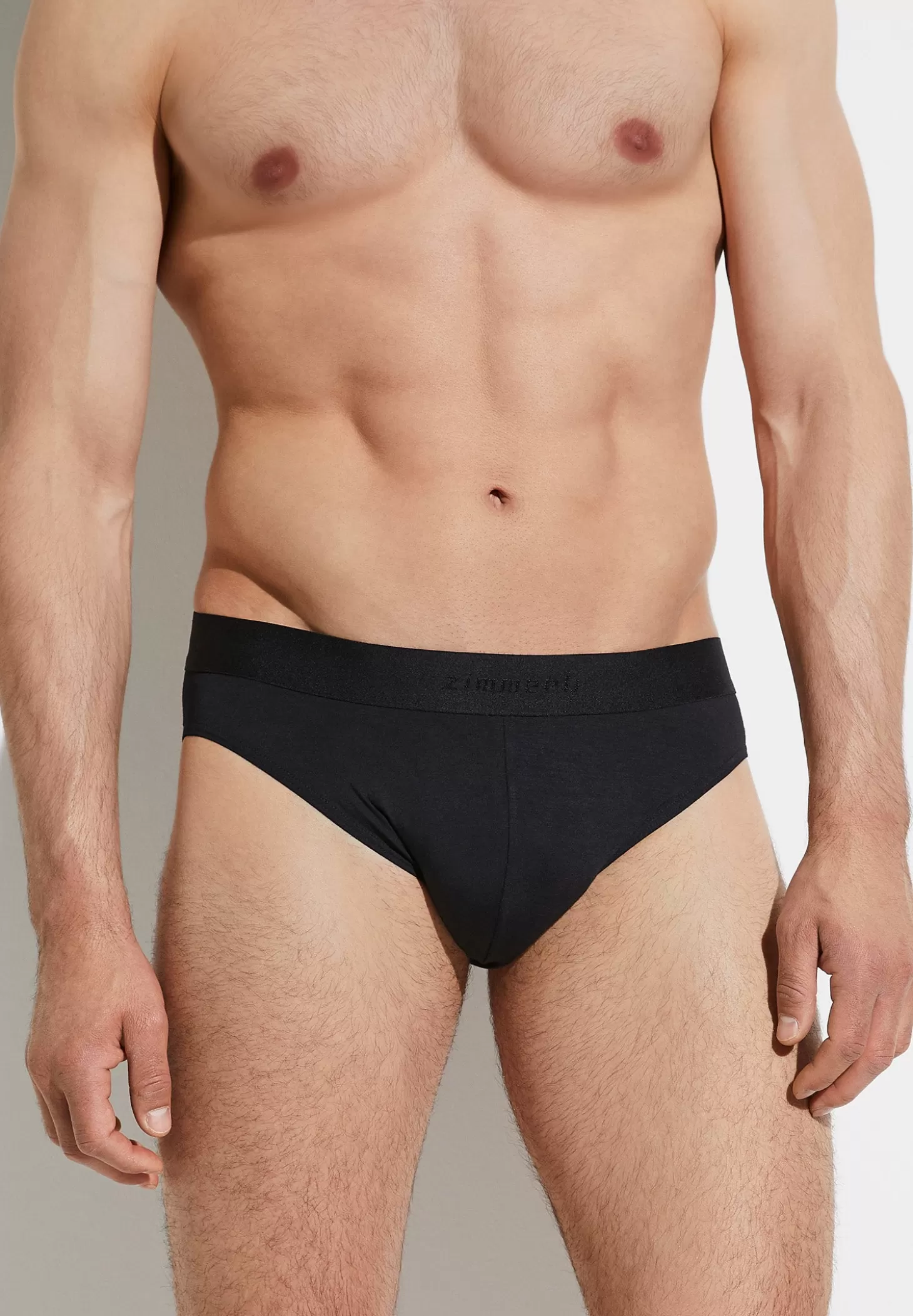 Herren Zimmerli Slips>Pureness