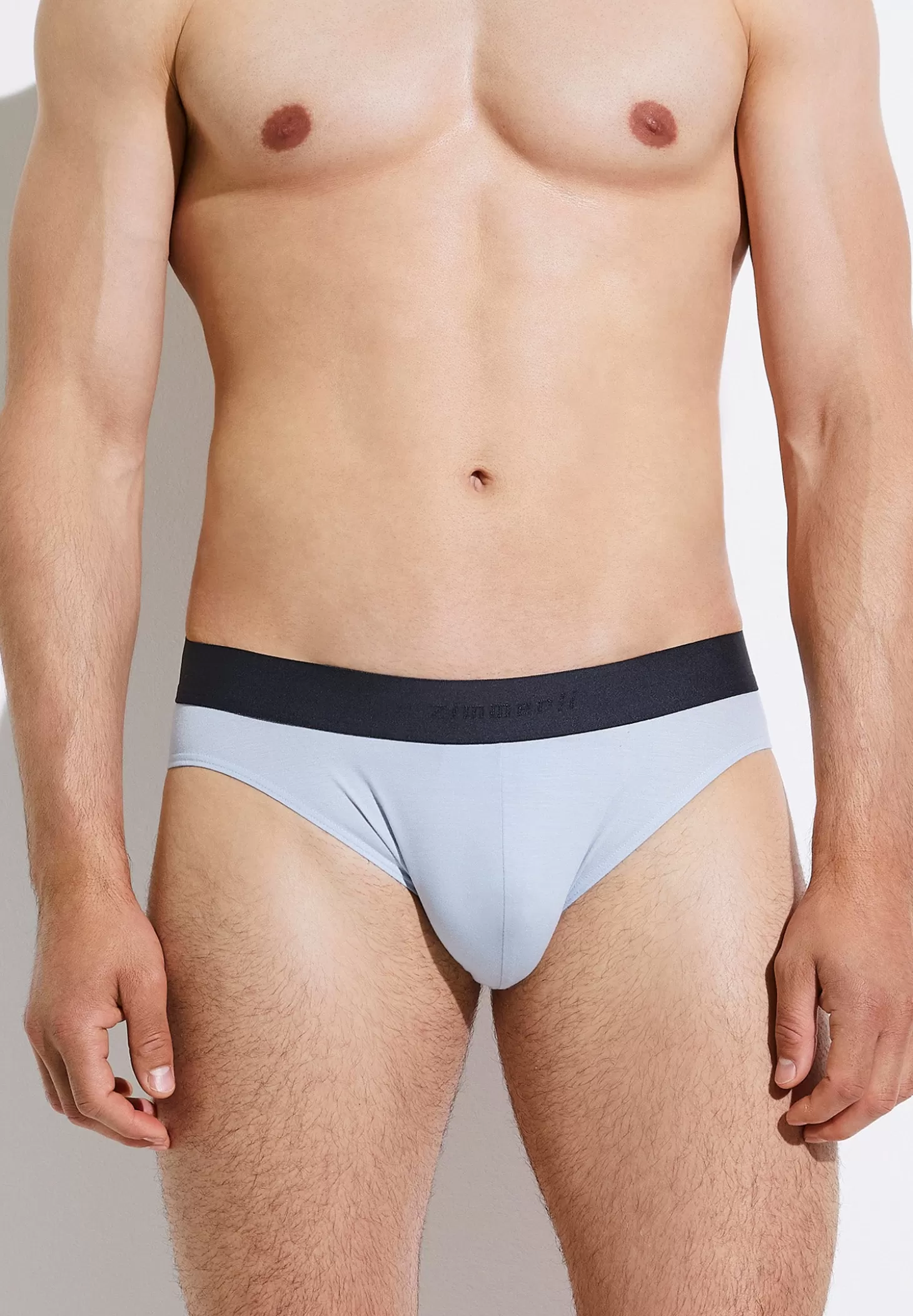 Herren Zimmerli Slips>Pureness