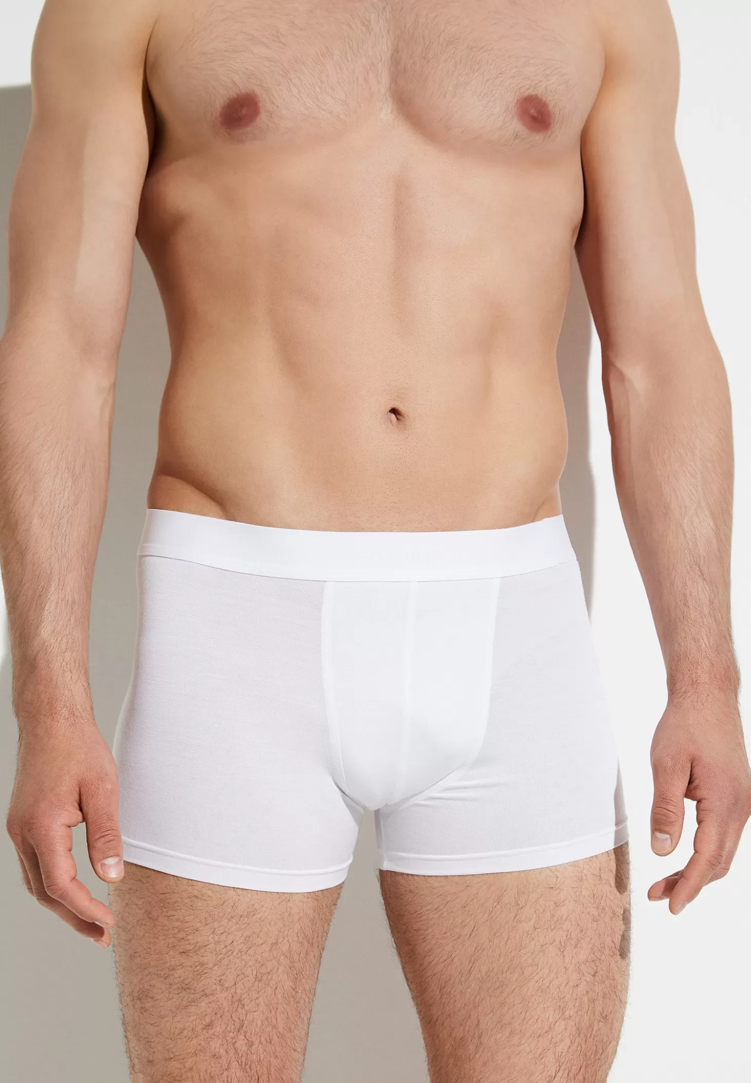 Herren Zimmerli Boxer Briefs>Pureness