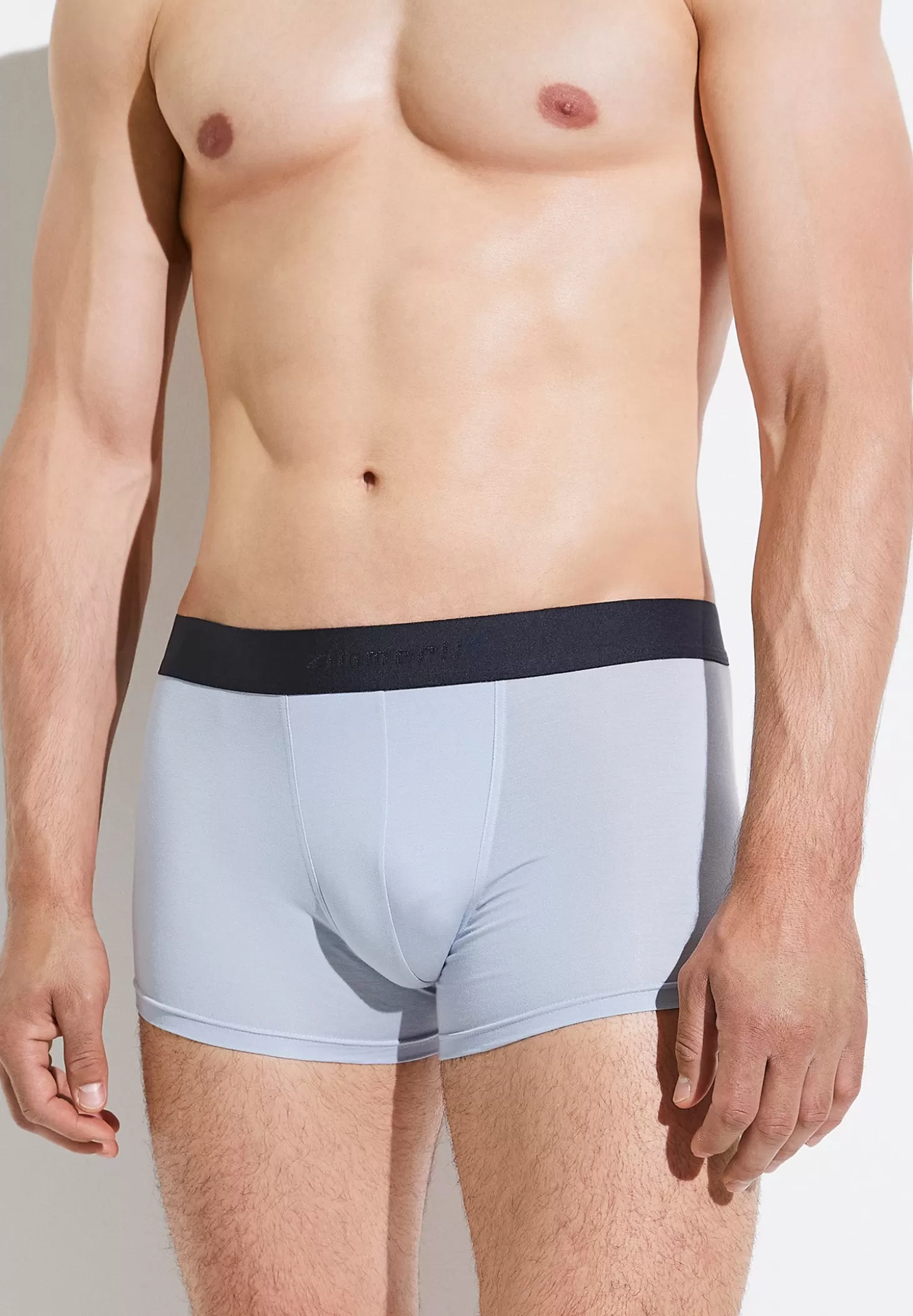 Herren Zimmerli Boxer Briefs>Pureness