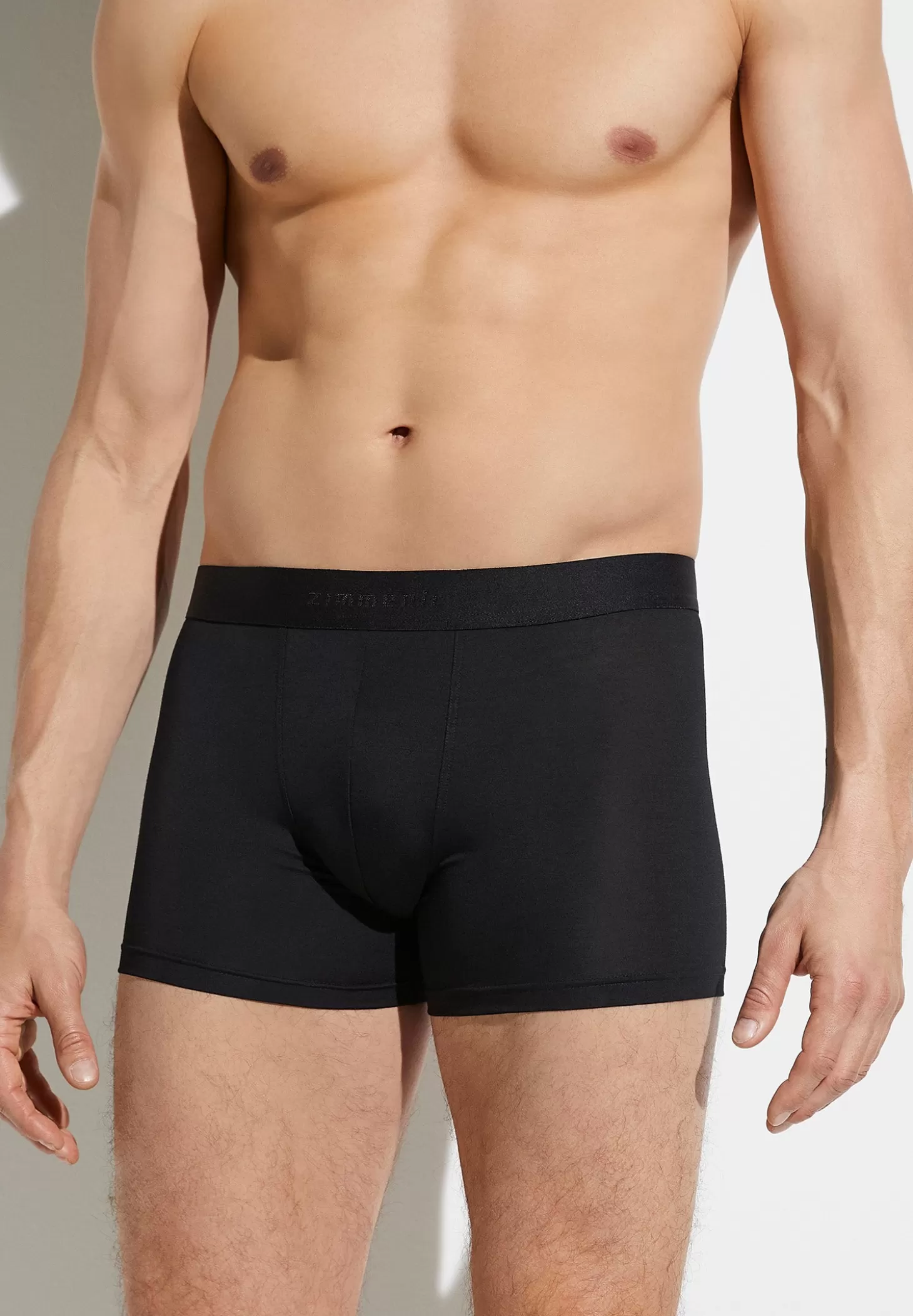 Herren Zimmerli Boxer Briefs>Pureness