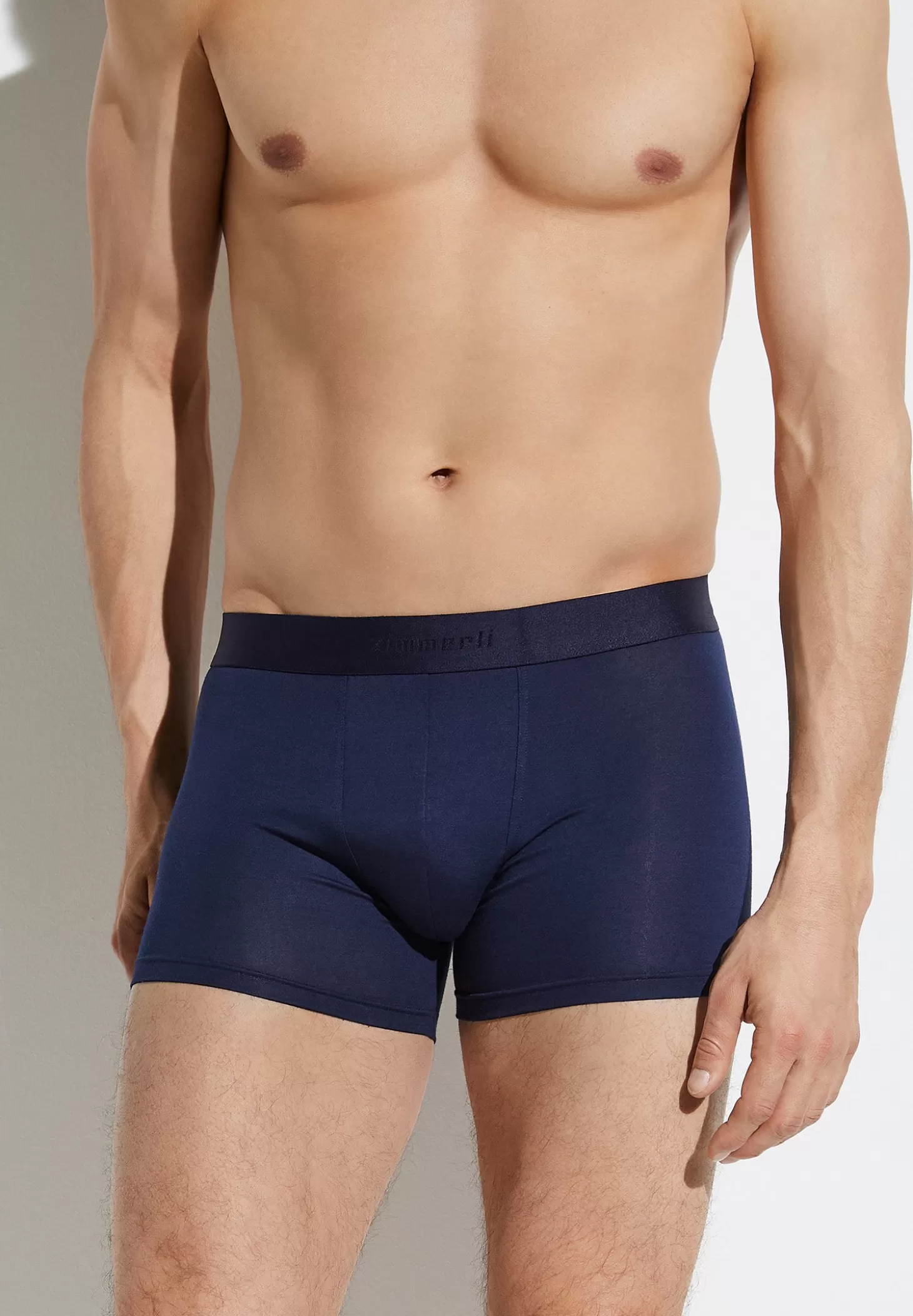 Herren Zimmerli Boxer Briefs>Pureness