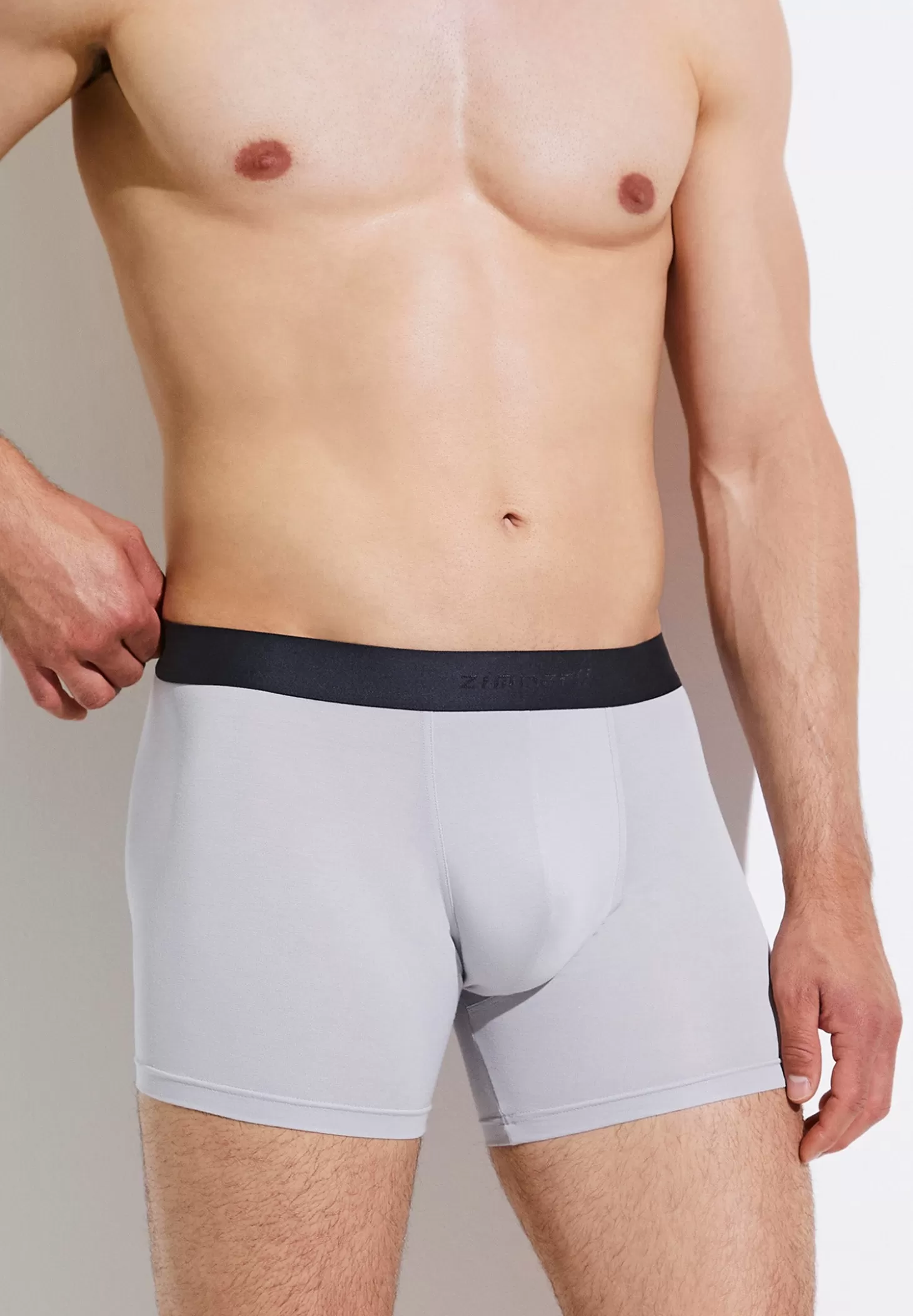 Herren Zimmerli Boxer Briefs>Pureness