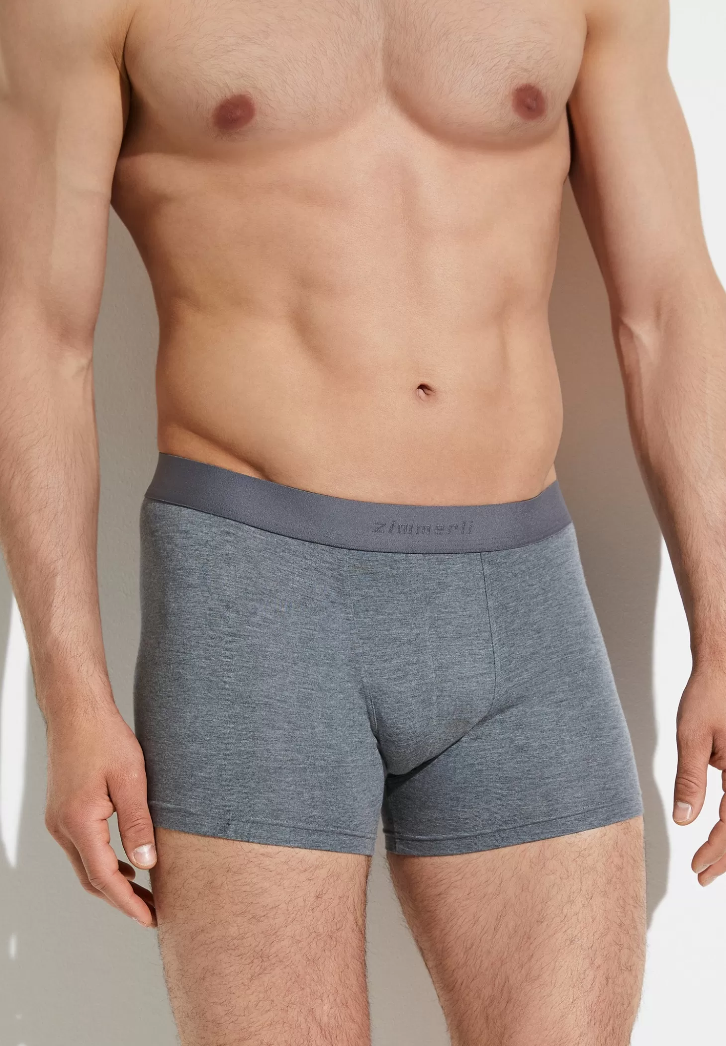 Herren Zimmerli Boxer Briefs>Pureness