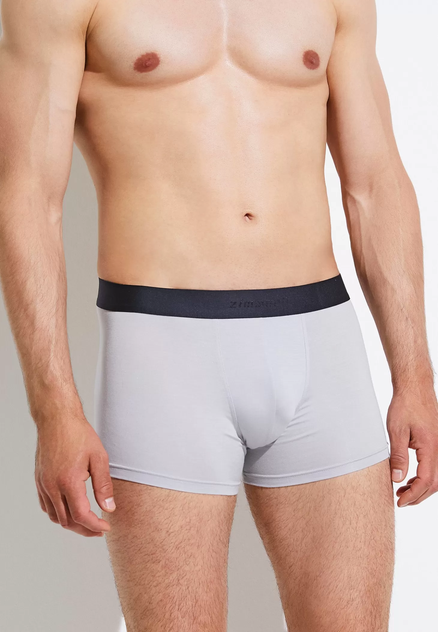 Herren Zimmerli Boxer Briefs>Pureness