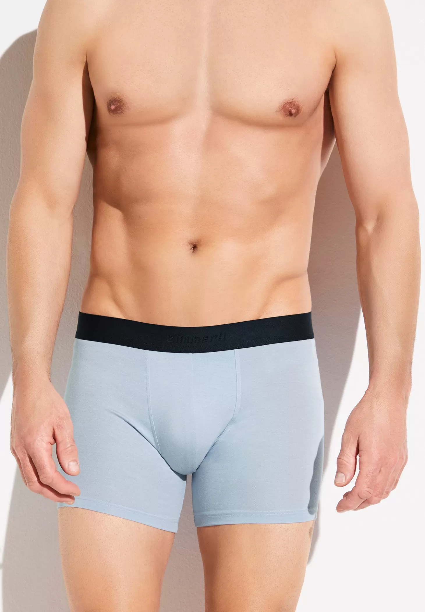 Herren Zimmerli Boxer Briefs>Pureness