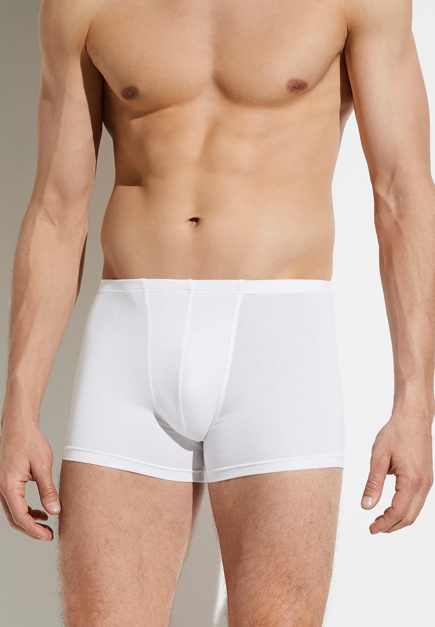 Herren Zimmerli Boxer Briefs>Pureness