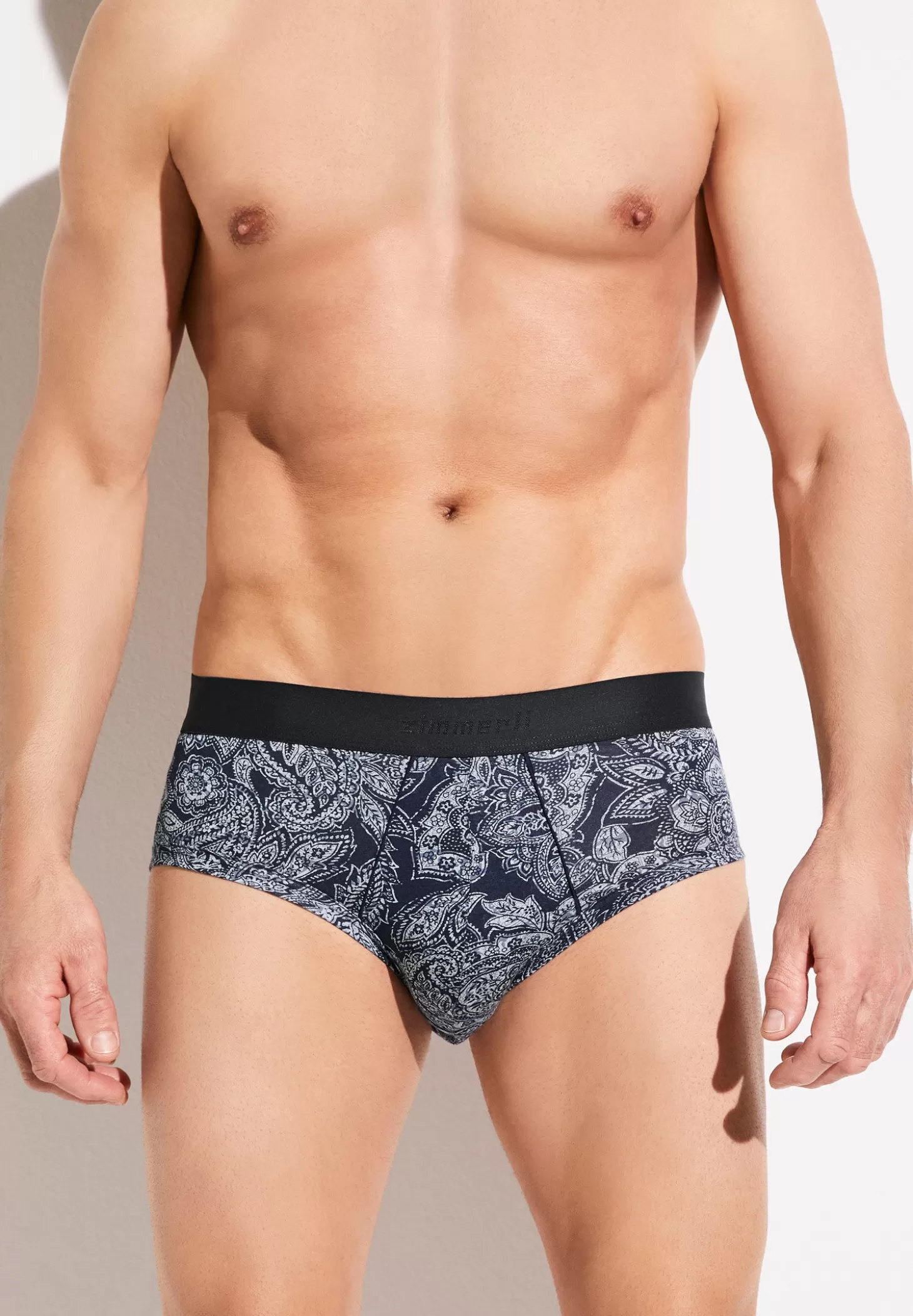 Herren Zimmerli Slips>Purenessprint