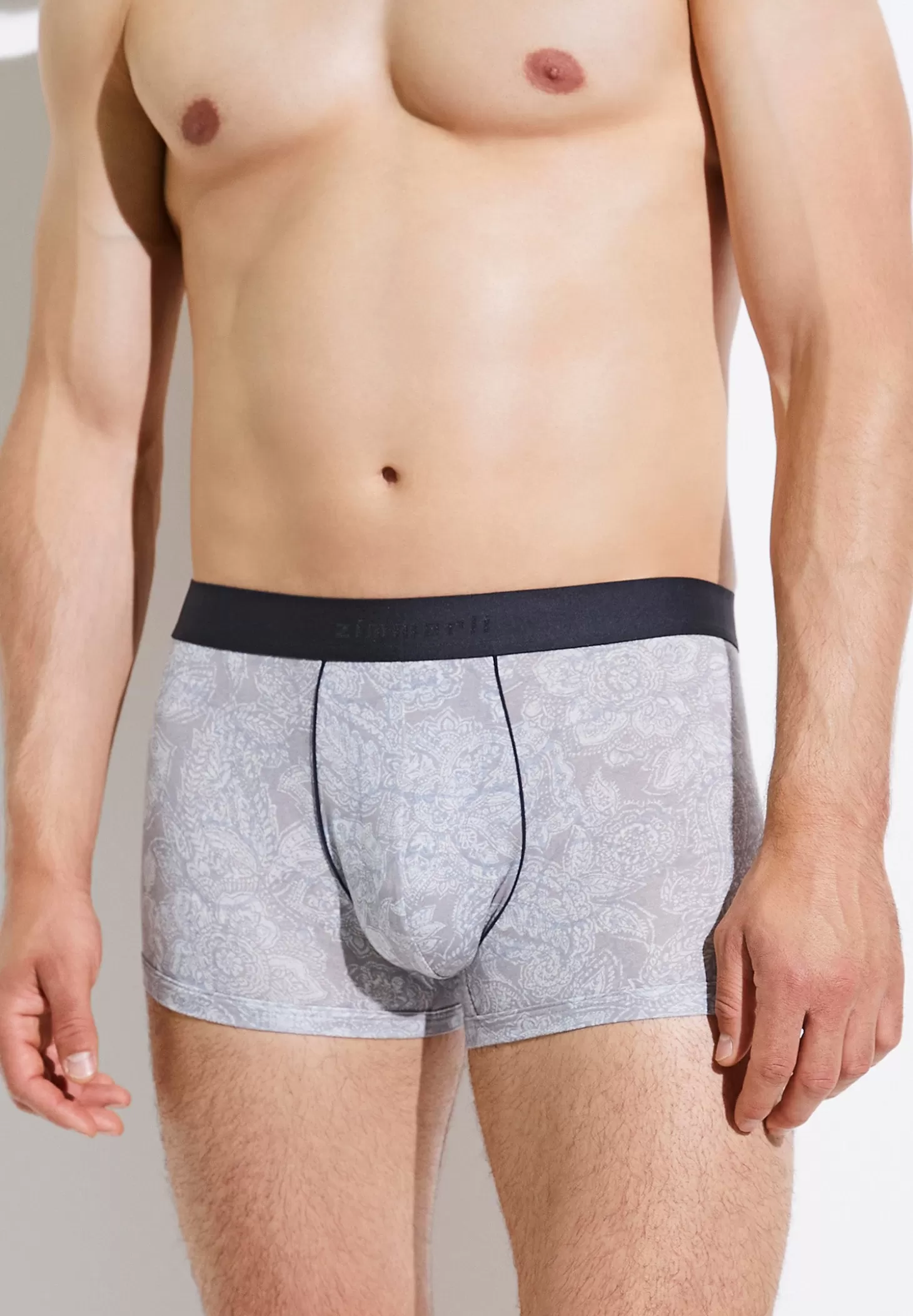 Herren Zimmerli Boxer Briefs>Purenessprint