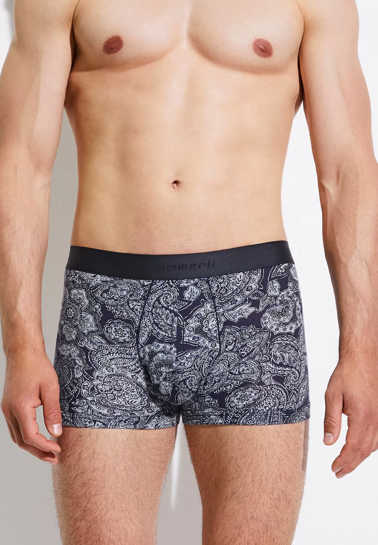 Herren Zimmerli Boxer Briefs>Purenessprint