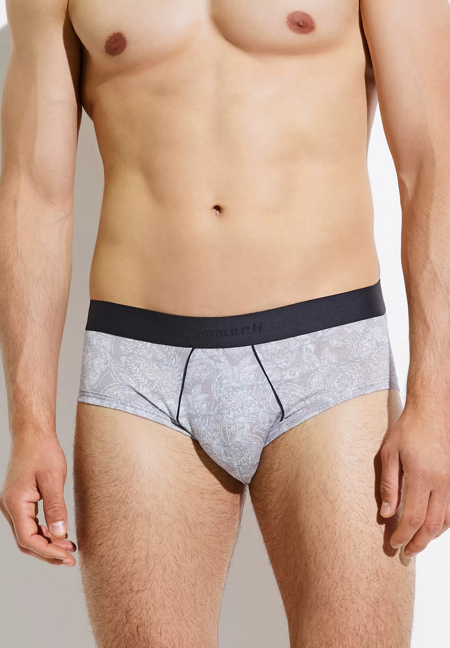 Herren Zimmerli Slips>Purenessprint