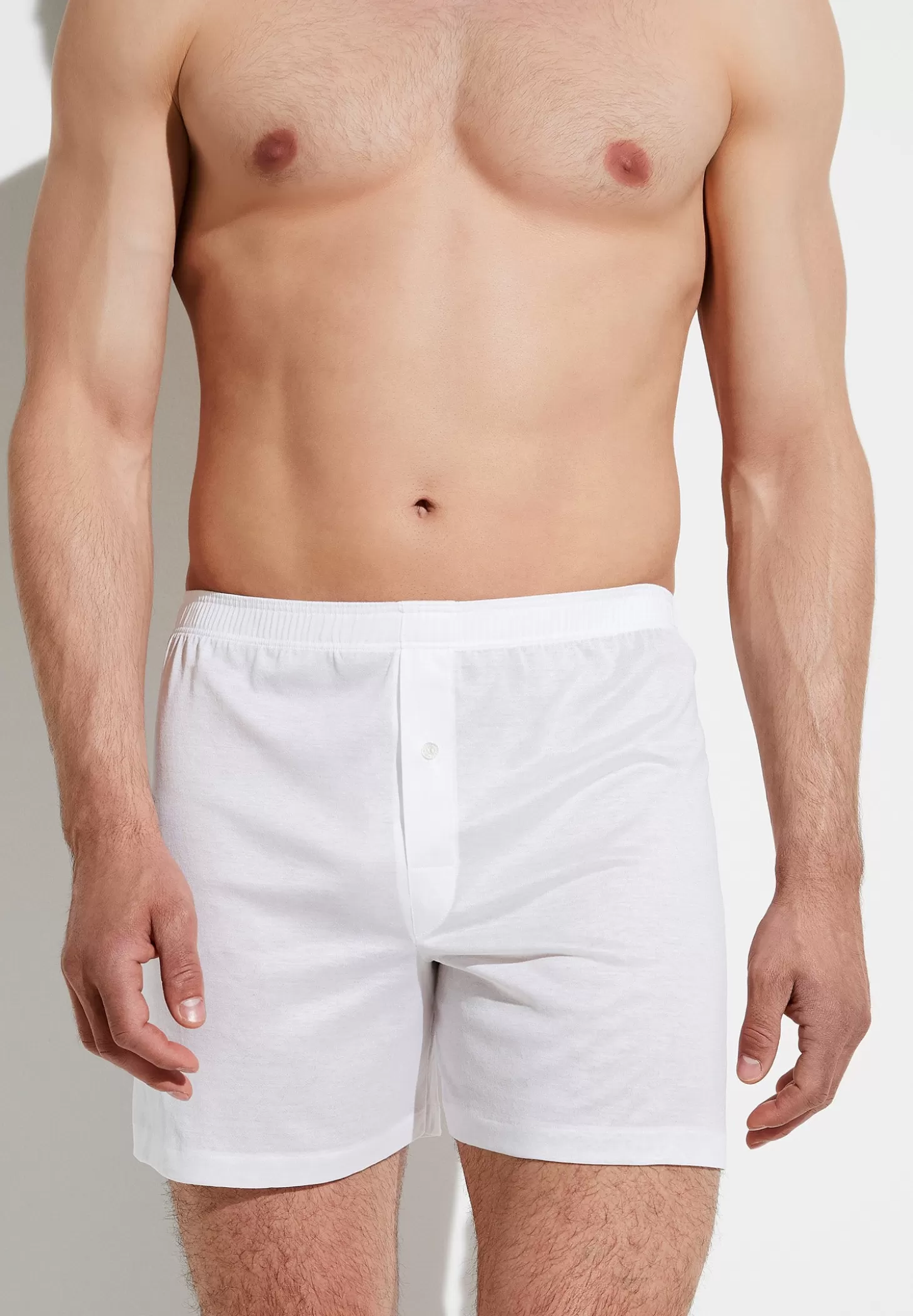 Herren Zimmerli Boxer Briefs>Royalclassic