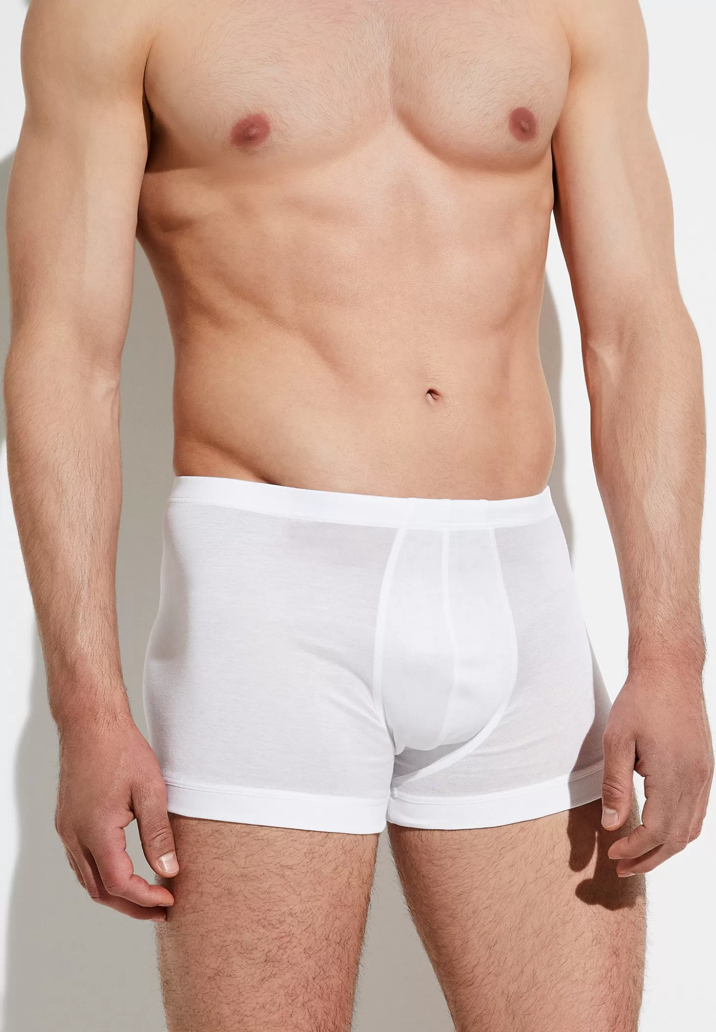 Herren Zimmerli Boxer Briefs>Royalclassic