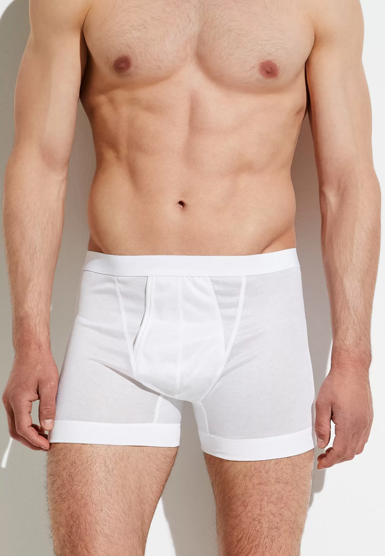 Herren Zimmerli Boxer Briefs>Royalclassic