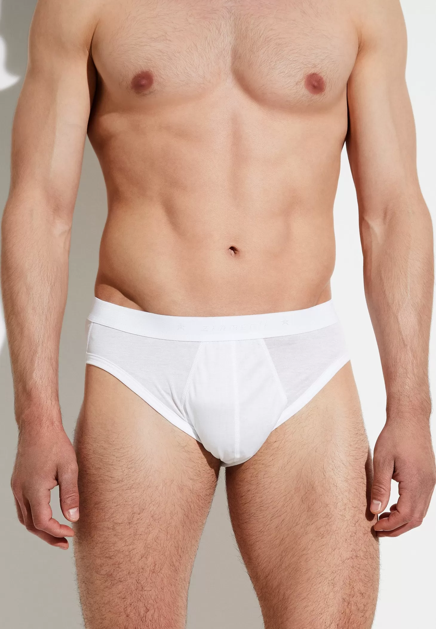 Herren Zimmerli Slips>Royalclassic