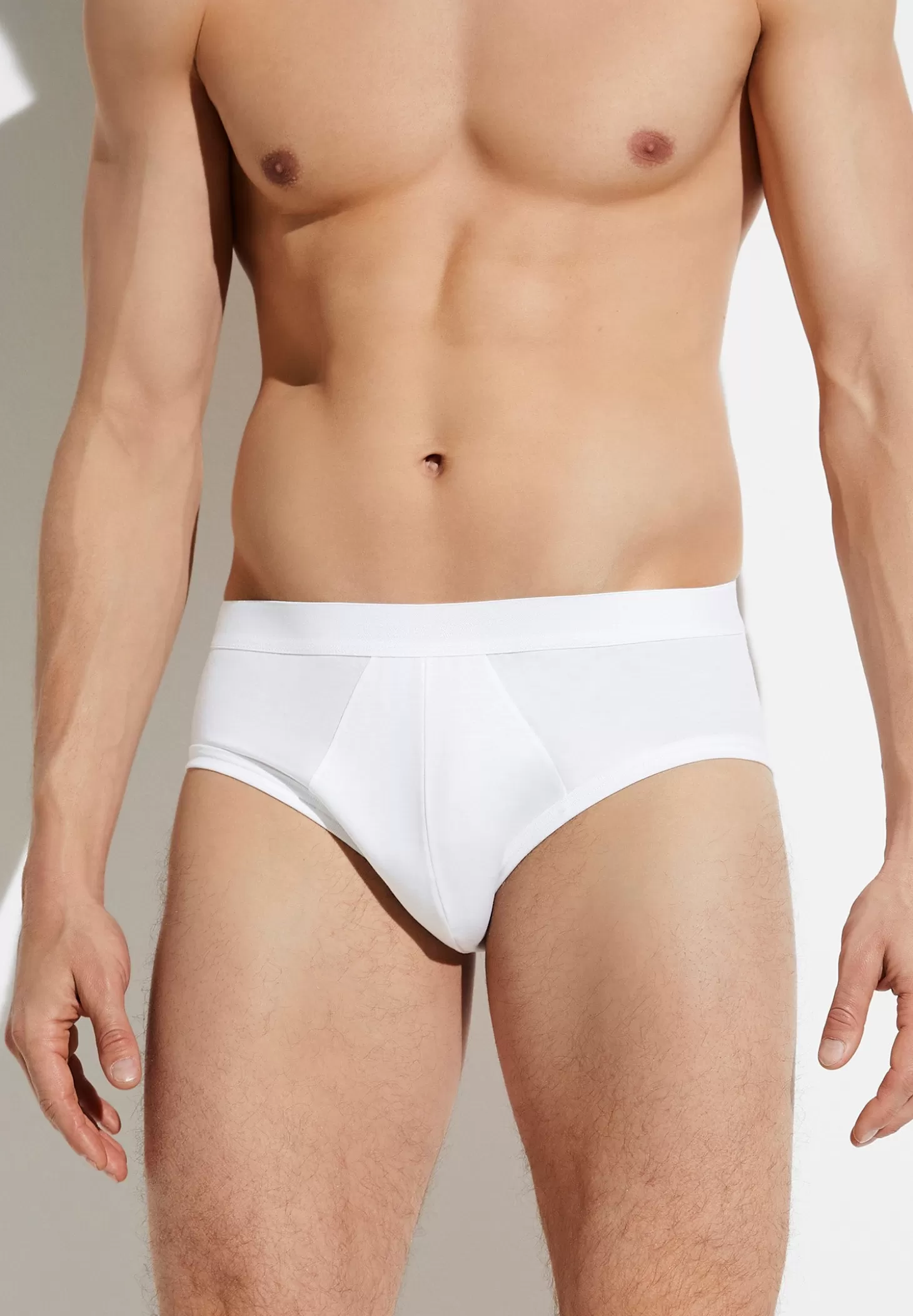 Herren Zimmerli Slips>Seaisland