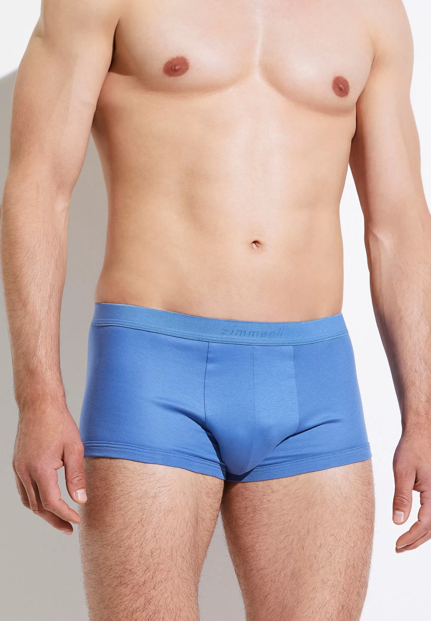 Herren Zimmerli Boxer Briefs>Seaisland