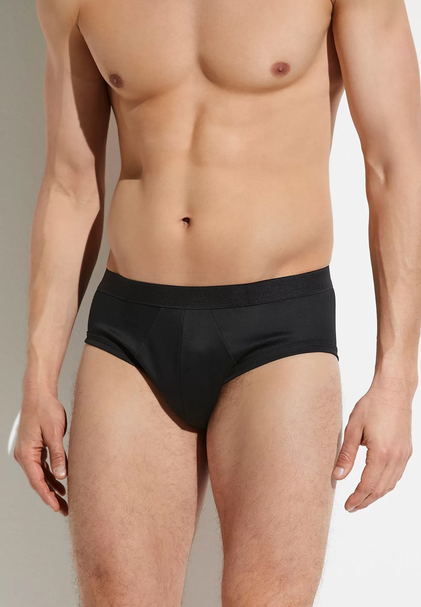 Herren Zimmerli Slips>Seaisland