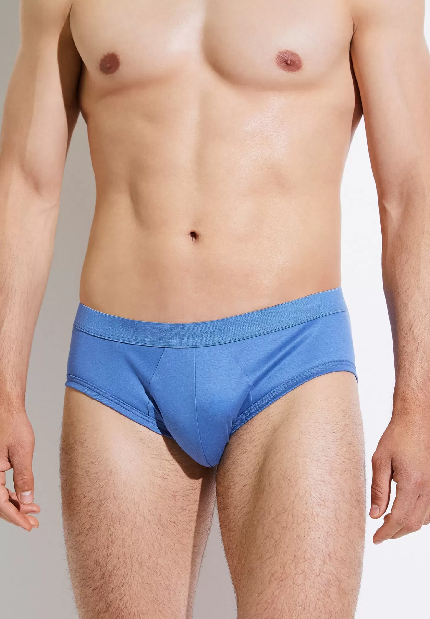 Herren Zimmerli Slips>Seaisland