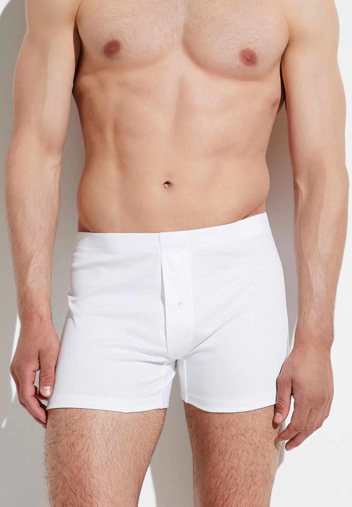 Herren Zimmerli Boxer Briefs>Seaisland